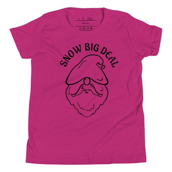 Kids "Snow Big Deal" Holiday Graphic Tee - Image 4