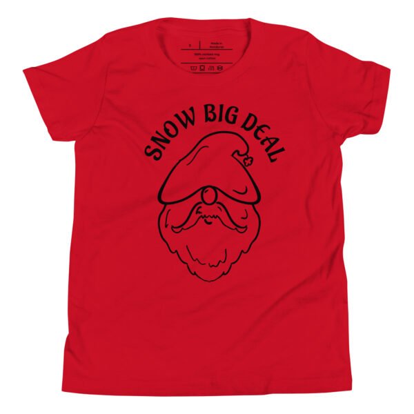 Kids "Snow Big Deal" Holiday Graphic Tee
